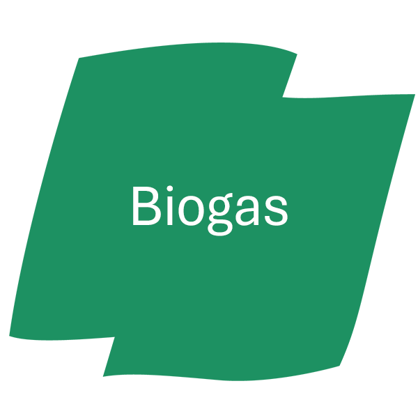 Biogas-Sorten